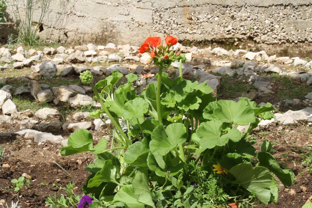 Barone 4 You Sibenik Exterior photo